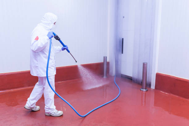Pre-Holiday Cleaning in Crouch Mesa, NM